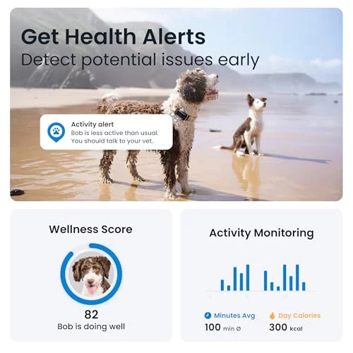 Tractive Gps Dog Tracker 2025 Release Real-Time Pet Location Tracker ...