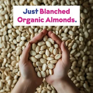 New Organic Almond Milk Unsweetened Plain Concentrate By Joi