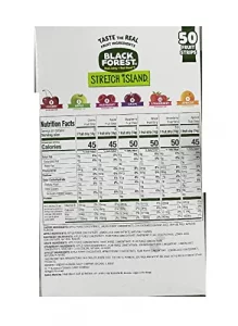Stretch Island Fruit Leather Snacks Variety Pack Cherry Apple Strawberry Apricot Grape Raspberry 0.5 Ounce No Added Sugar Pack Of 50 24.7 Ounce