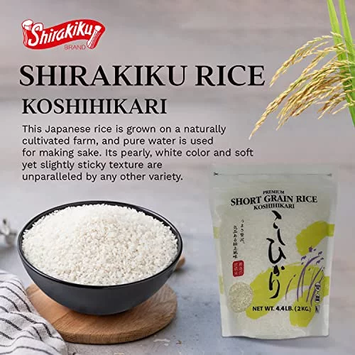 Shikari Rice Shirakiku Dried Grains Rice - Japanese Short Grain White Koshihikari ...