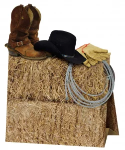3-D Western Centerpiece Party Accessory (1 count) (1/Pkg)