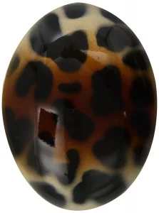 CaravanHand Painted Oval Barrette With Leopard Design And A Brown Over Shadow