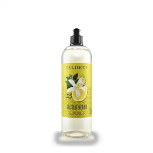 Caldrea Dish Soap, Biodegradable Dishwashing Liquid made with Soap Bark and Aloe Vera, Sea Salt Neroli, 16 oz (Packaging May Vary)