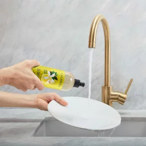 Caldrea Dish Soap, Biodegradable Dishwashing Liquid made with Soap Bark and Aloe Vera, Sea Salt Neroli, 16 oz (Packaging May Vary)