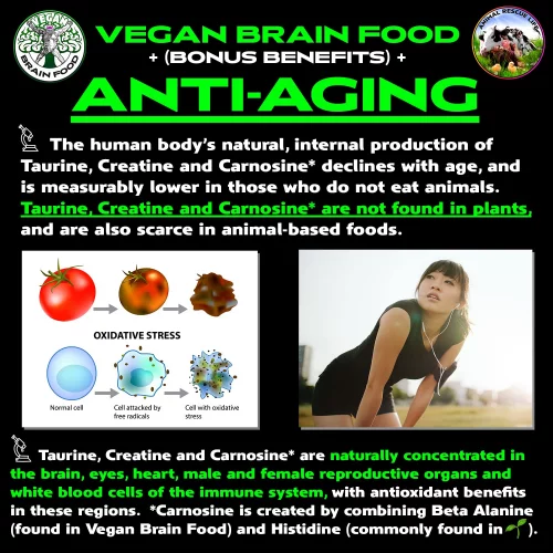 Vegan Brain & Body Boost: The Cherry On Top Of A Plant-Based Lifestyle ...