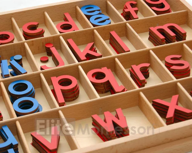 Elite Montessori Wooden Movable Alphabet with Box Preschool Spelling ...