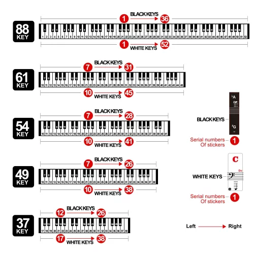 Piano Keyboard Stickers for 88/61/54/49/37 Key, Bold Large Letter Piano ...