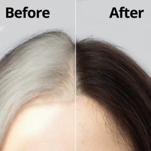 Daeng Gi Meo Ri Medicinal Herb Hair Color To Cover Gray Hair (Dark Brown) (2 Pack)