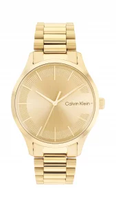 Calvin Klein Iconic Mens Quartz Watch - Gift for Him