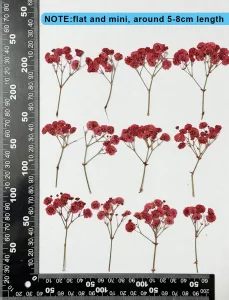 16 pcs Red Baby's Breath Real Natural Dried Pressed Flowers for Resin Art Craft DIY