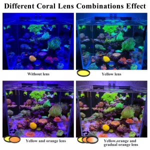 Coral Lens Aquarium Reef Filter Lens Kits for Phone 8 Coral Lenses Kit Including Orange Gradual-Orange Yellow Gradual-Yellow Pink Macro Start and Pol