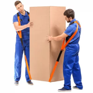 Moving Straps, 2-Person Lifting Straps for Moving Furniture, Lifting and Moving System Shoulder Belt for Carry Heavy Furniture, Appliances, Mattresse