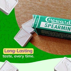 Choward's Spearmint Unique Aromatic Flavors for Everyday Freshness, Travel, Sharing, and Gifting, Distinctive Taste, Pack of 24 (15 Mints, 24 Packages Per Box)