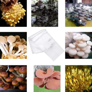 BMIROAMDFE Mushroom Grow Bags Extra Thick 8 Mil Mushroom Bag 15 Pieces High Temperature Resistance Large Size Clear