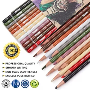 PANDAFLY Professional Colored Charcoal Pencils Drawing Set, Skin Tone Colored Pencil, Pastel Chalk Pencils for Sketching, Shading, Coloring, Layering