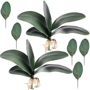 Hinyo 7 Pcs Big Size Artificial Green Phalaenopsis Artificial Orchid Leaves Green Plant Garden Bonsai Decor (7 Pcs)