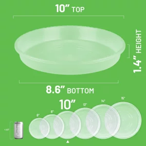 MUDEELA 6 Pack of 10 Inches Plant Saucers for Indoor, Durable Plastic Round Plant Tray Plant Dish Pant Plate to Catch Water for Flower and Plant Pot,