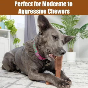 SPOT Bam-Bones Plus T Bone - Bamboo Fiber & Nylon Dog Chew Toy for Moderate to Aggressive Chewers, Non-Splintering, Long-Lasting, 7in Beef Flavor, fo