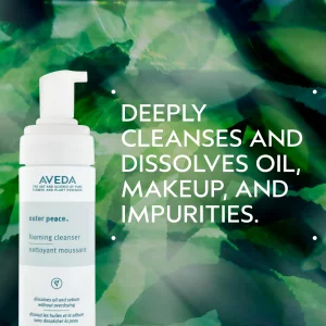 Aveda Outer Peace Foaming Cleanser | Daily Face Cleanser for Acne-Prone Skin | with Powerful Plant Extracts, 4.2 Fl Oz