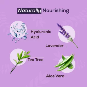 NOVEHA Lavender and Tea Tree Oil Eyelid Foaming Cleanser | Hydrating Hypoallergenic Daily Soap For Eyelashes and Lids, For Demodex, MGD, Stye Eye, Ey