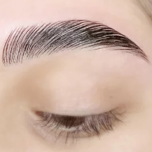 Korean At Home Brow Lamination and Color Kit Professional Eyebrow Lamination and Color Kit Eye Lash Color Black Eye Brow Color Kit