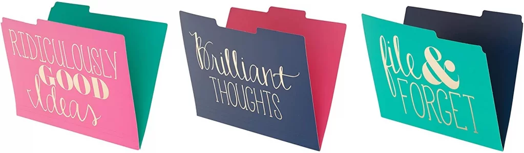 Roobee Gold Brilliant Thoughts, Ridiculously Good Ideas, File & Forget Decorative File Folders (Set of 9)