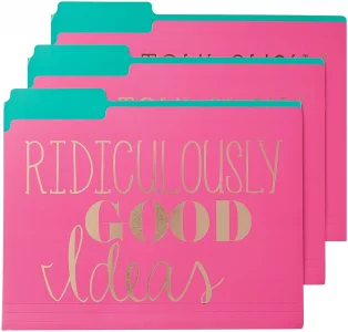 Roobee Gold Brilliant Thoughts, Ridiculously Good Ideas, File & Forget Decorative File Folders (Set of 9)