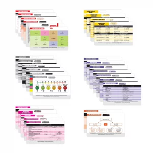 Nurse Nation 30 Horizontal Nursing Badge Reference Cards - Lab Values, EKG, Vitals, and More! (Bonus Cheat Sheets) Great Nurse Gifts - Nursing Studen