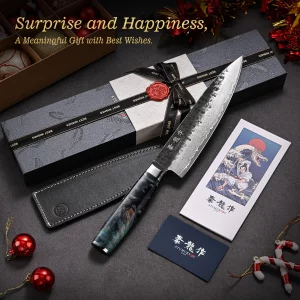 Japanese Chef Knife 8'', Hand Forged 67-Layer Damascus VG10 Core Kitchen Knife for Home & Professional Chefs, Razor Sharp Chef's Knives with Leather 