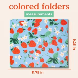 ban.do 2 Pack Letter Size Document Folders, Colored with Pockets, Strawberry Fields Design