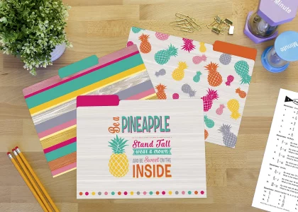 Teacher Created Resources Tropical Punch File Folders (TCR8538)