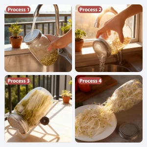 Seed Sprouting Jar Lid Kit with 9 Pack Stainless steel filter sheet and 4 Pack Stainless Steel Sprouting Stands for 86mm Wide Mouth Mason Jars for Gr