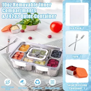 Qtencas Snackle Box Container with 8 Portable Removable Compartments, Ice Pack, Sauce Cup & Fork, Stainless Steel Divided Serving Tray with Lid and H