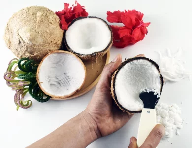 Round Edge Cut Coconut Grater - Durable Sharp Stainless Steel Blade Shredder & Multi-Purpose Rasp for Easy Use Efficient Shredding Tool (Plastic Hand